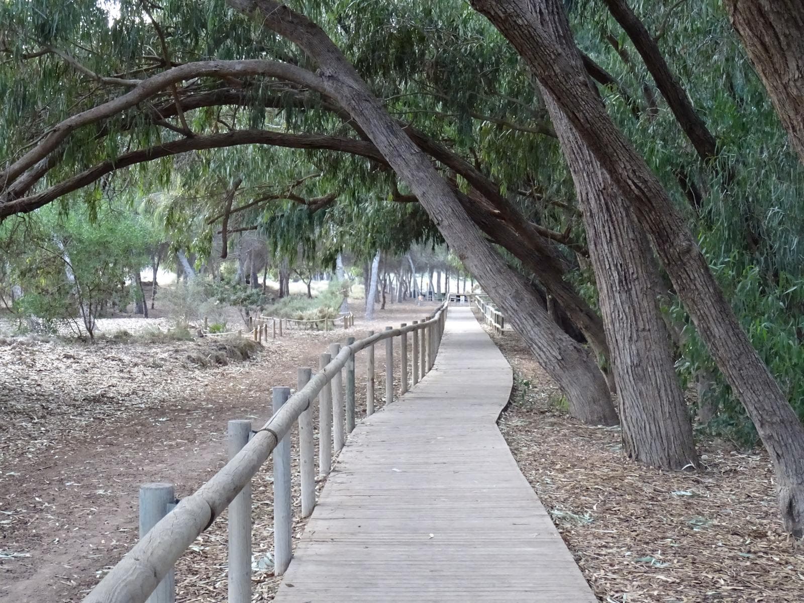 Natuurpark La Mata & Zoutmeren